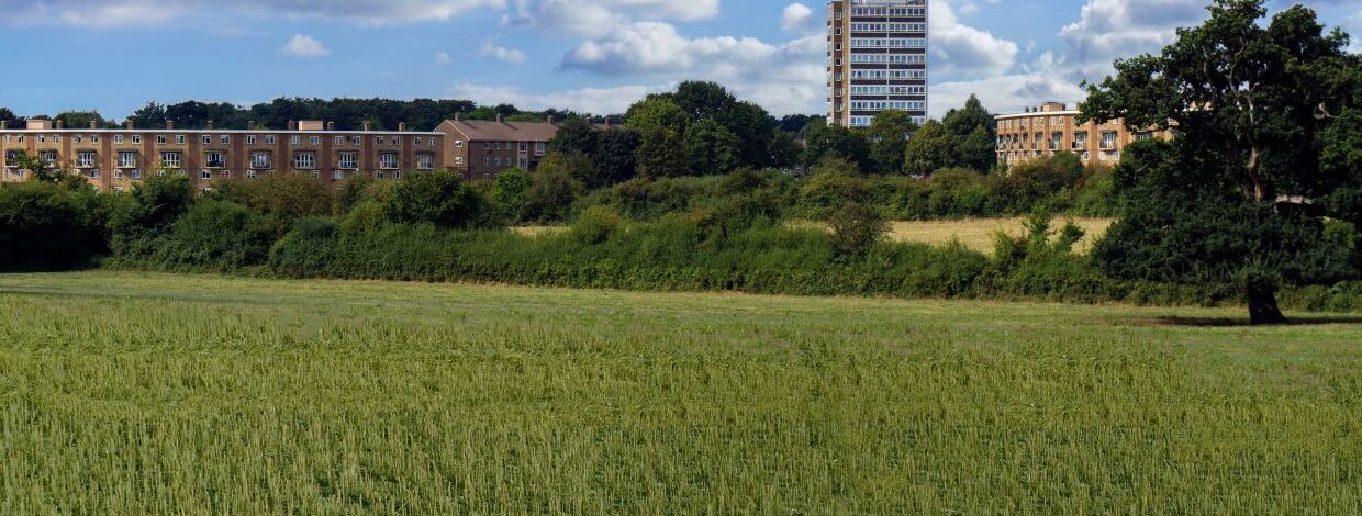 Landscape of Harlow with field and tower block